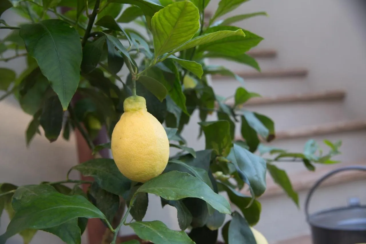 Bed & Breakfast Orto De' Mandorli B&B Vetulonia Italy