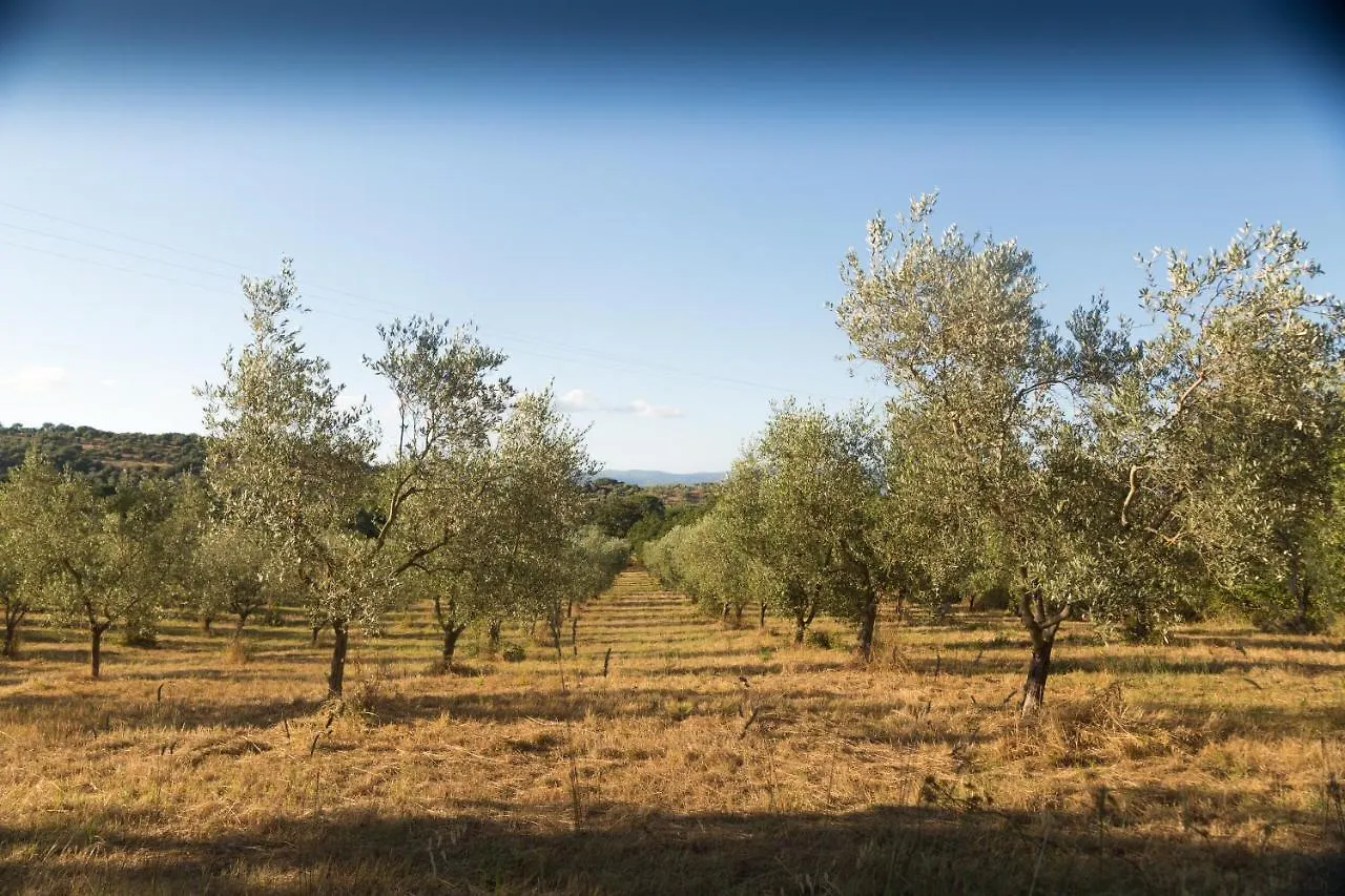 Orto De' Mandorli B&B Vetulonia Italy